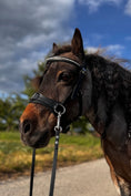 Bild in Galerie-Betrachter laden, Kappzaum für die Kleinen - Ascot Reitsportschwarz mit silbernen Beschlägen
