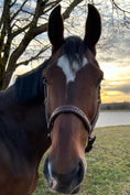 Bild in Galerie-Betrachter laden, Lederhalfter Herzenspferd - Ascot Reitsportdunkelbraunes Leder mit schwarzer Stickerei
