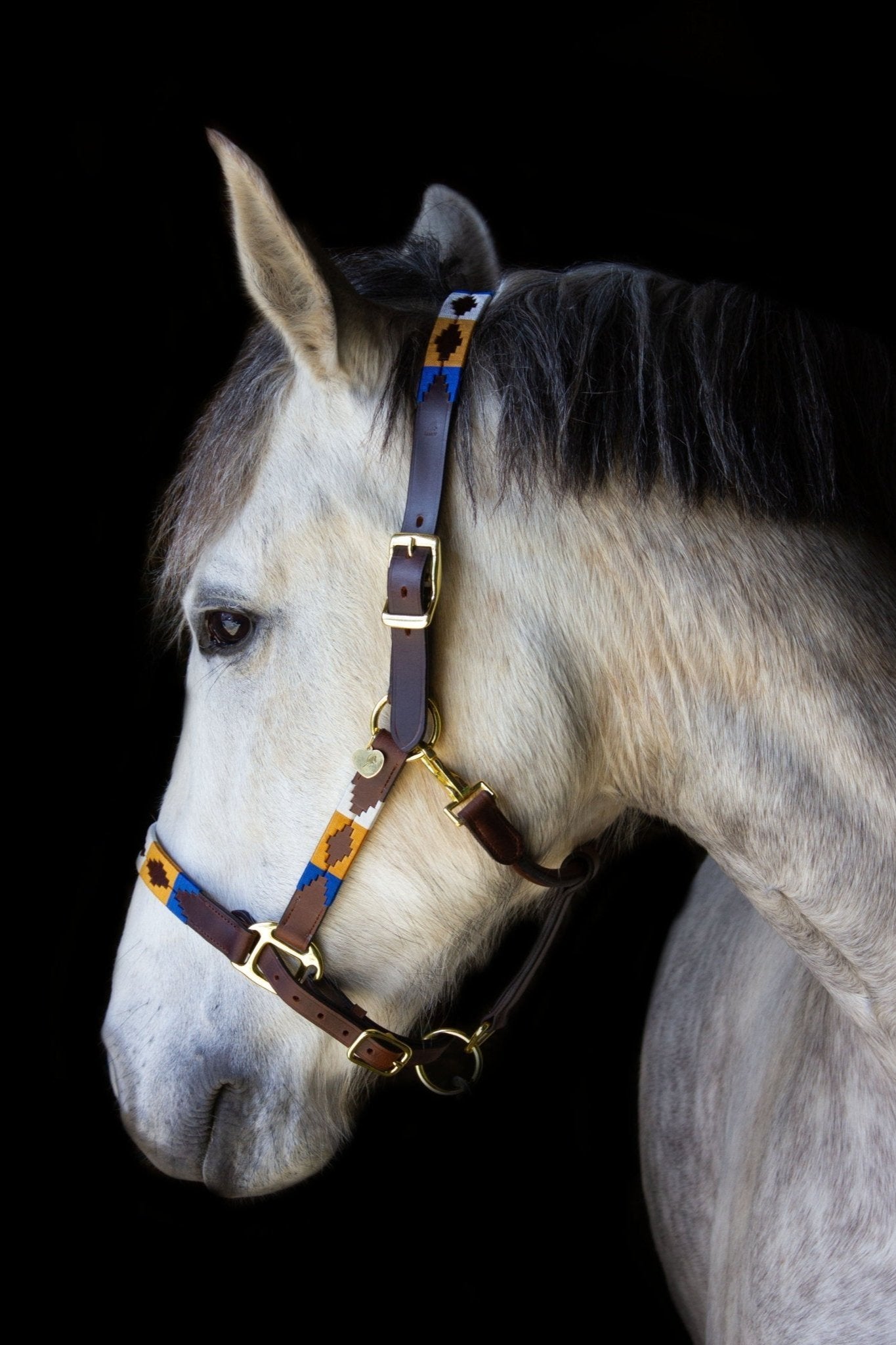 Braunes Lederhalfter im Polo-Design blau/ gold/ creme - von Ascot Reitsportartikel - pflanzlich gegerbt - handmade.