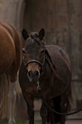 Bild in Galerie-Betrachter laden, Lederhalfter mit eingefasstem Strass für die Kleinen - Ascot Reitsportbraun/ Lack/ goldener Strass
