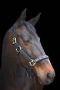 Bild in Galerie-Betrachter laden, Lederhalfter mit innenliegenden Strasssteinen - Ascot Reitsportschwarz/ lila mehrfarbig/ Messingbeschläge

