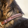 Load image into Gallery viewer, Lederhundehalsband mit geflochtenem Design - Ascot ReitsportDunkelbraun mit Messingbeschlägen
