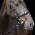 Load image into Gallery viewer, Nasenriemen beidseitig verschnallbar englisch - kombiniert - Ascot Reitsportbraun lack mit Messingbeschlägen
