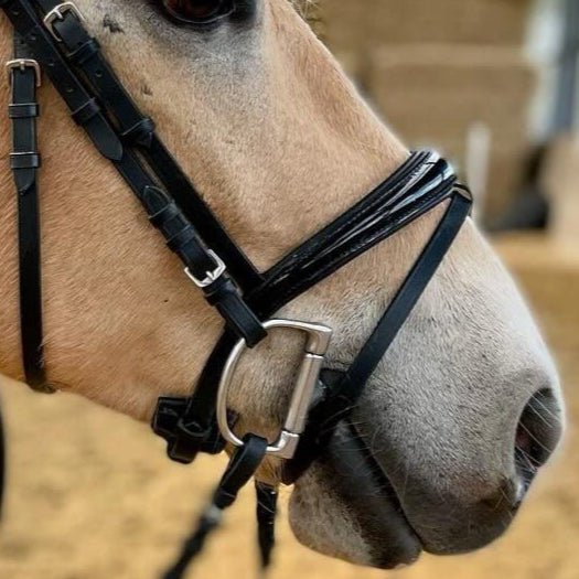 Nasenriemen beidseitig verschnallbar englisch - kombiniert - Ascot Reitsportschwarz lack mit silbernen Beschlägen