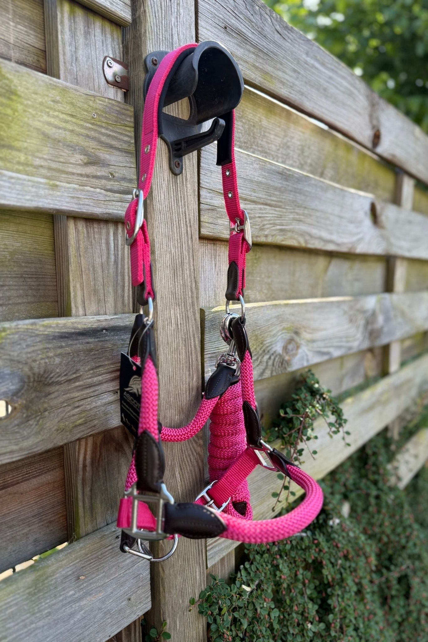 Nylonhalfter mit Strick - Ascot ReitsportSchwarz