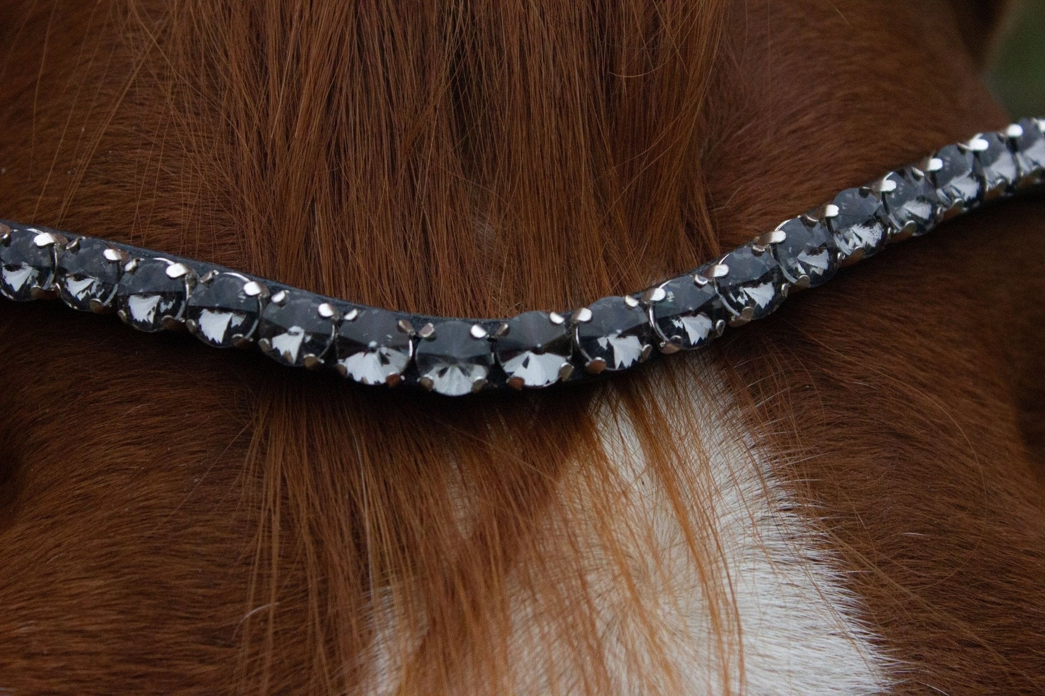 Stirnriemen Majestic (Nr. 9.) - Ascot Reitsport9.9 (grau)