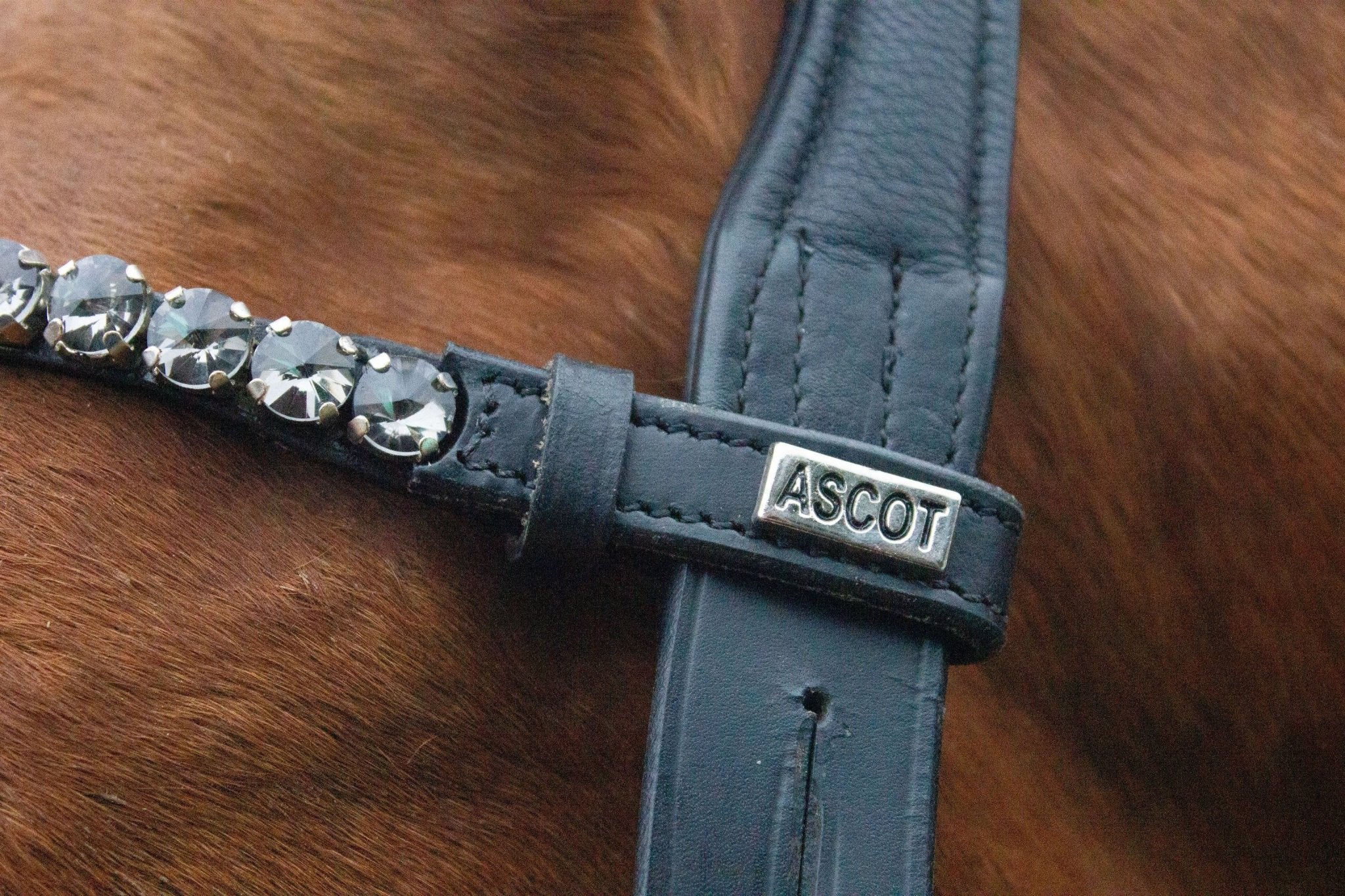 Stirnriemen mit Schnellwechselsystem - Ascot Reitsport Majestic 9.9 grau