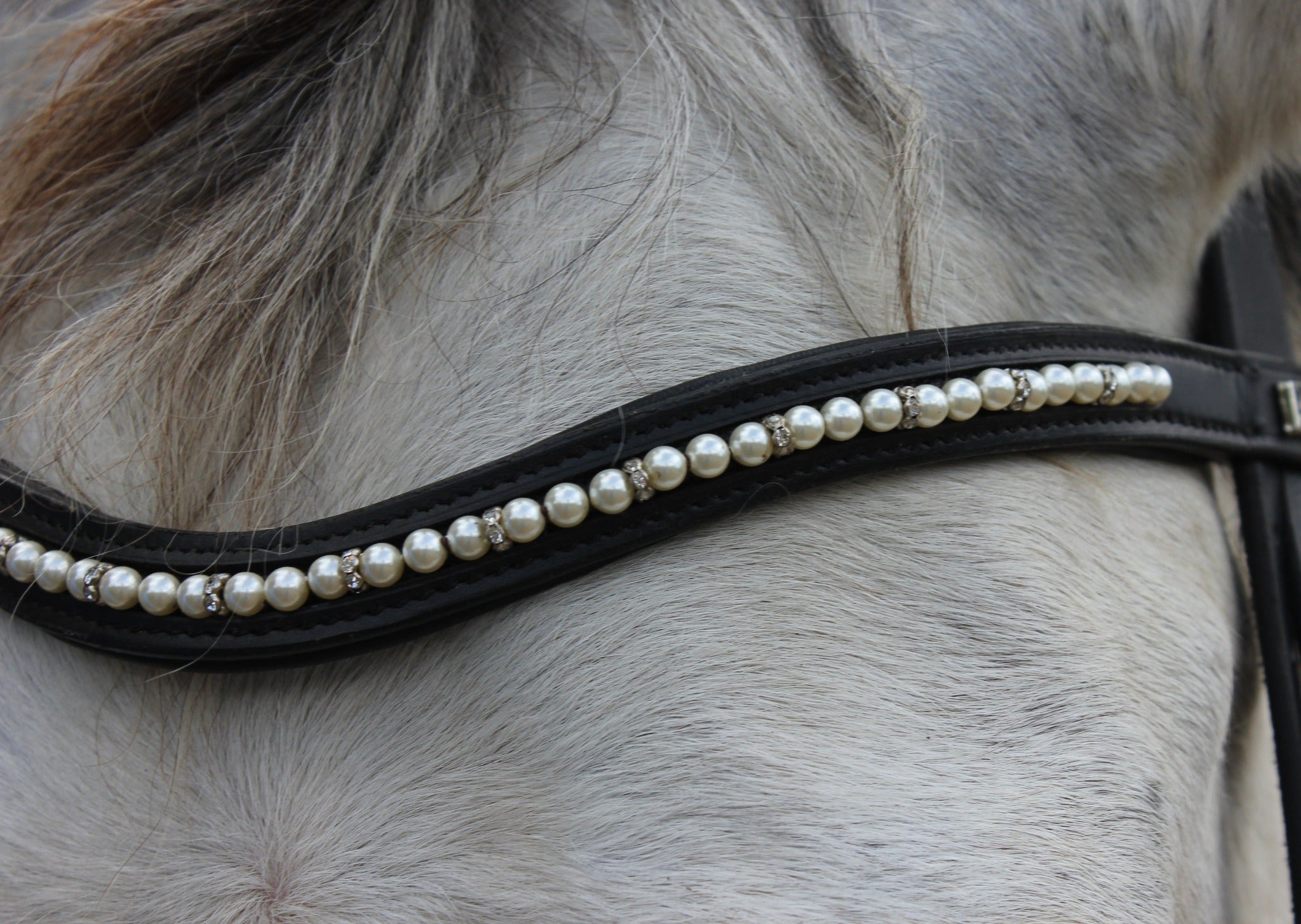 Stirnriemen Pearl (Nr. 14) - Ascot Reitsport14.(Perle)