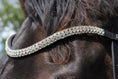 Load image into Gallery viewer, Mehrreihig glitzernder schwarzer Lederstirnriemen von der Marke Ascot Reitsportartikel.
