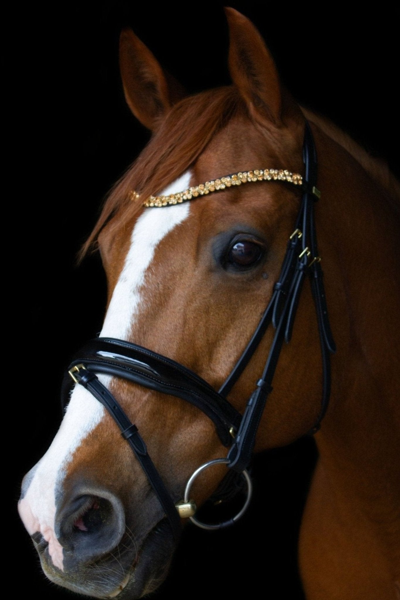 Anatomische Trense Ascot (schwedisch-kombiniert) schwarz lack mit Messingbeschlägen-Ascot Reitsport.