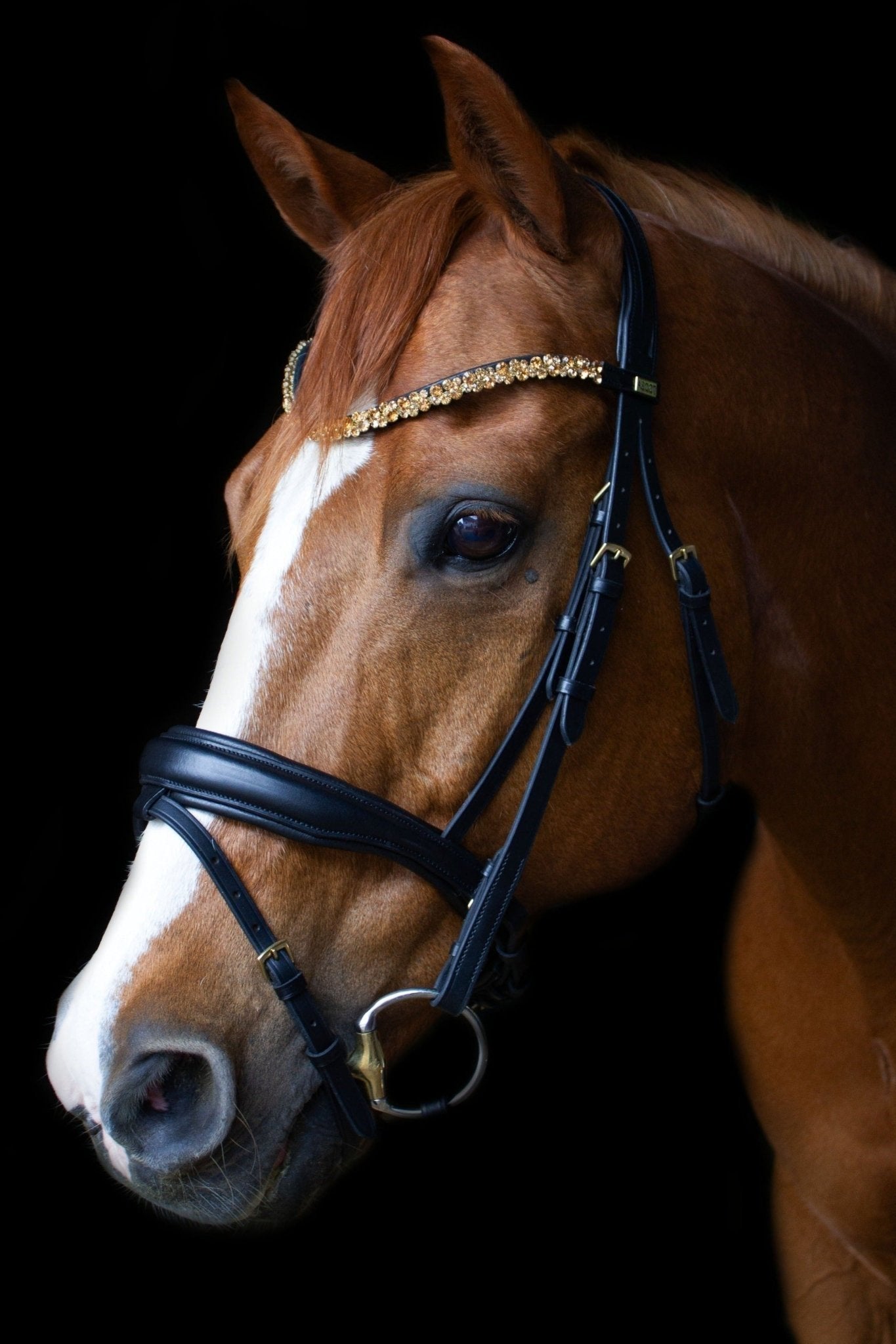 Anatomische Trense Ascot (schwedisch-kombiniert) schwarz mit Messingbeschlägen-Ascot Reitsport.