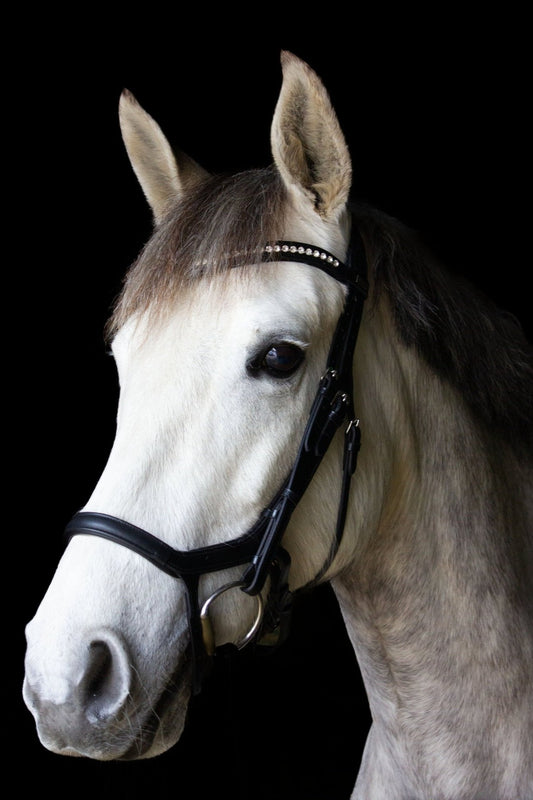 Schwarze anatomische Trense mit Softleder-Genickstück und einem klaren Strassstirnband der Marke Ascot Reitsportartikel.