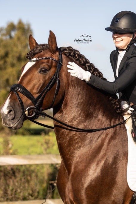 Trense Dallas - Ascot Reitsportschwarz mit silbernen Beschlägen