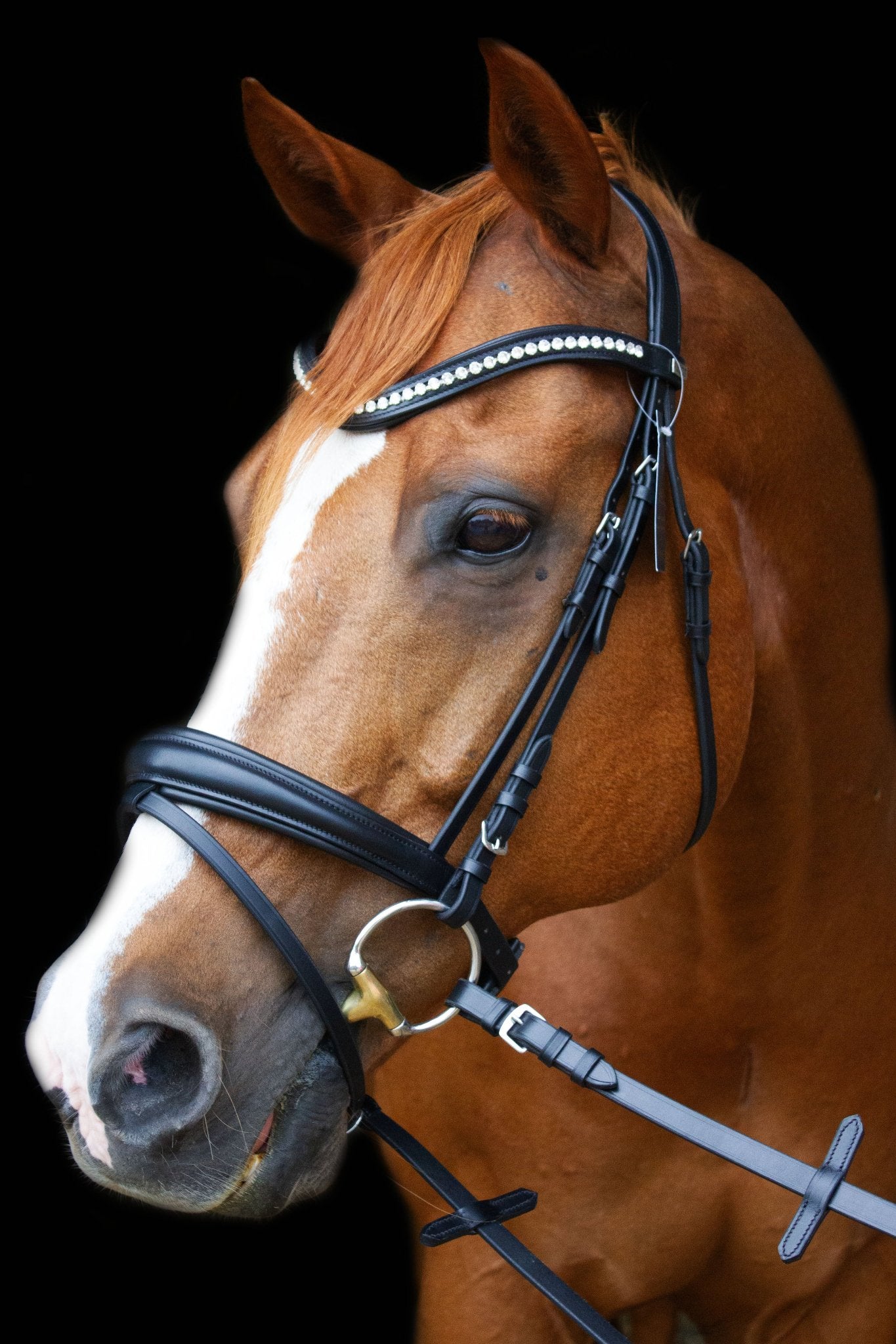 Trense Hamburg - Ascot Reitsportschwarz matt mit silbernen Beschlägen