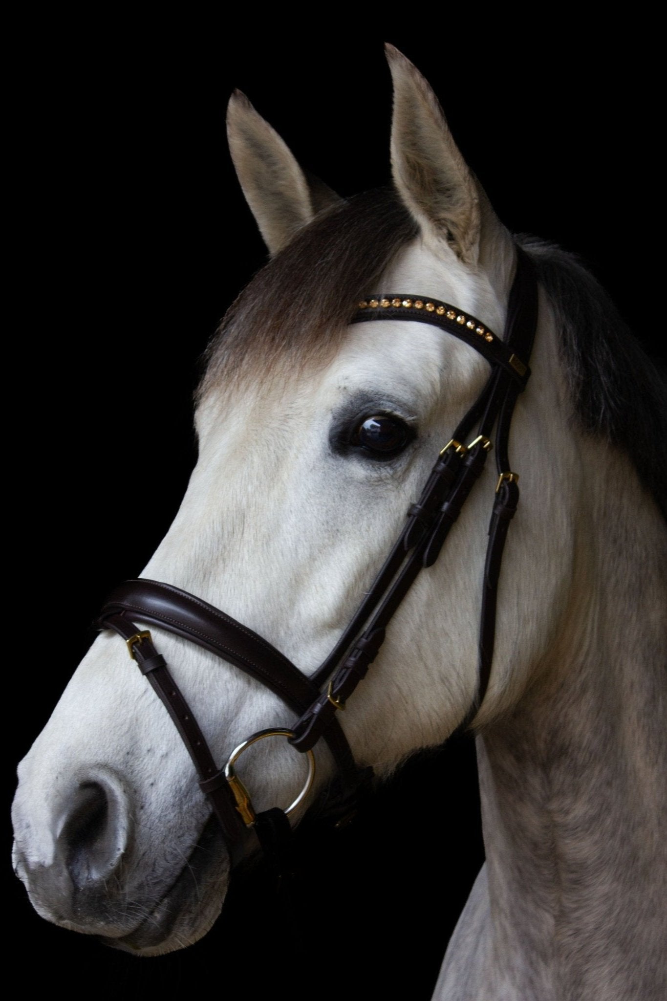 Trense Hamburg mit Softleder unterlegtes anatomisches Genickstück braun matt mit Messingbeschlägen von Ascot Reitsportartikel