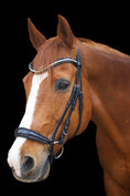 Bild in Galerie-Betrachter laden, Trense Hannover - Ascot Reitsportbraun matt mit Messingbeschlägen
