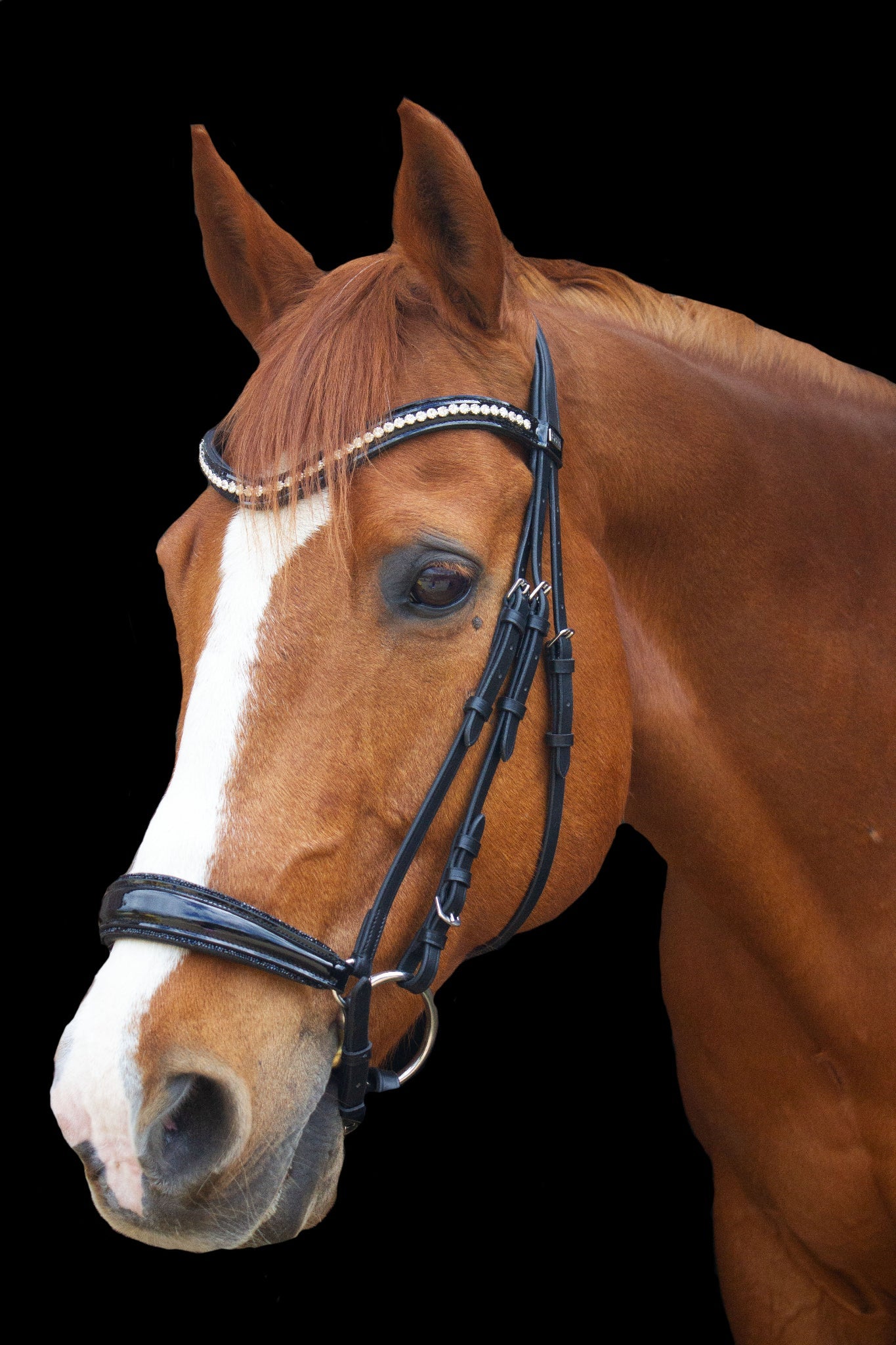Trense Hannover - Ascot Reitsportbraun matt mit Messingbeschlägen