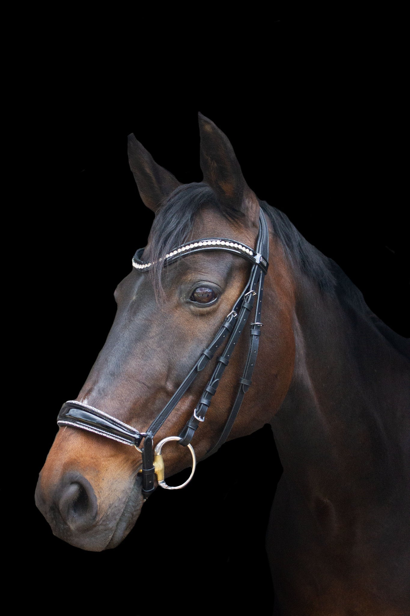 Trense Hannover - Ascot Reitsportschwarz lack/ schwarzer Strass mit silbernen Beschlägen