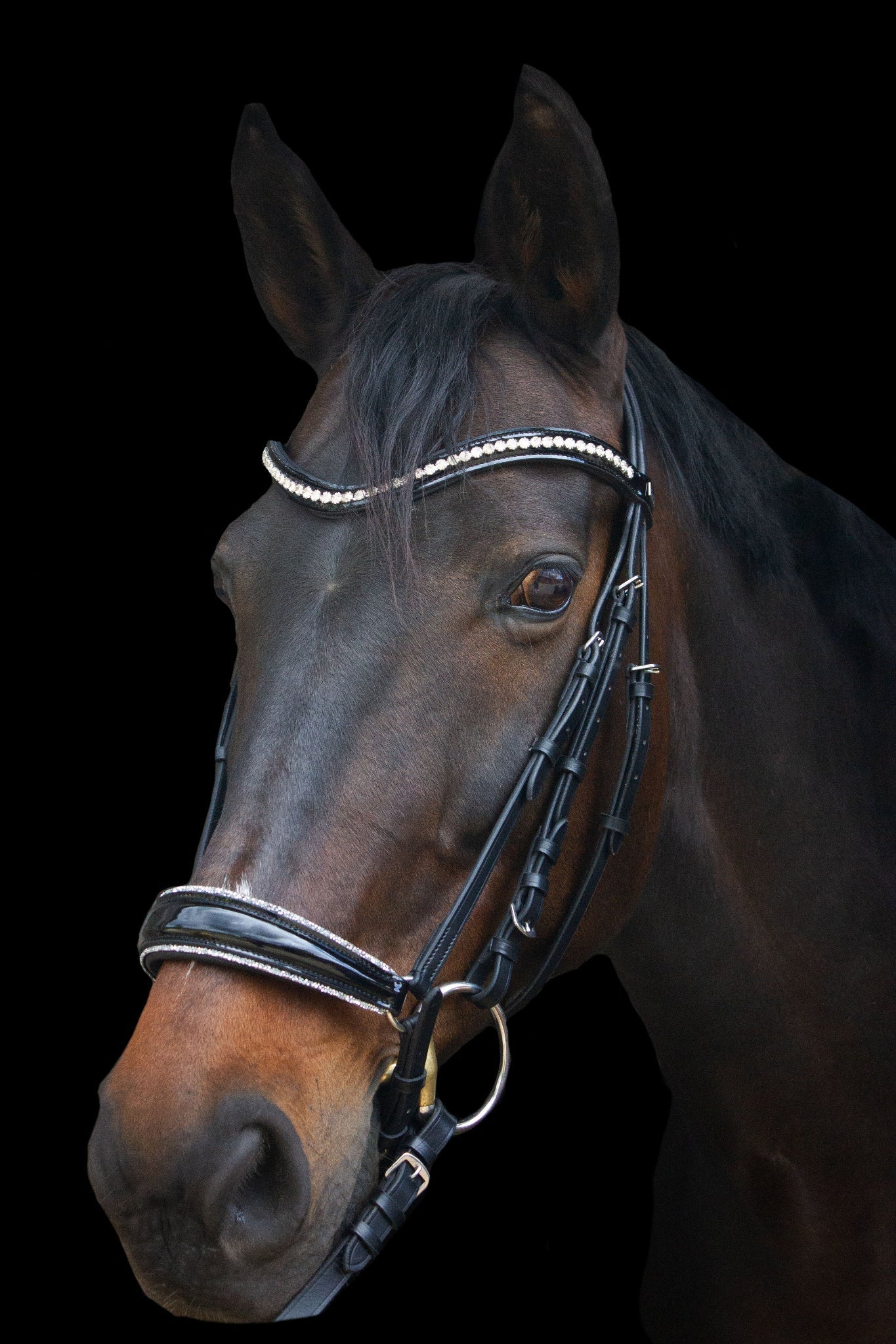 Trense Hannover - Ascot Reitsportschwarz lack/ silberner Strass mit silbernen Beschlägen