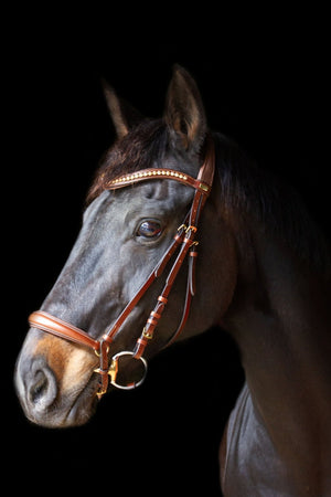 Standard Stirnriemen (Tabacco)