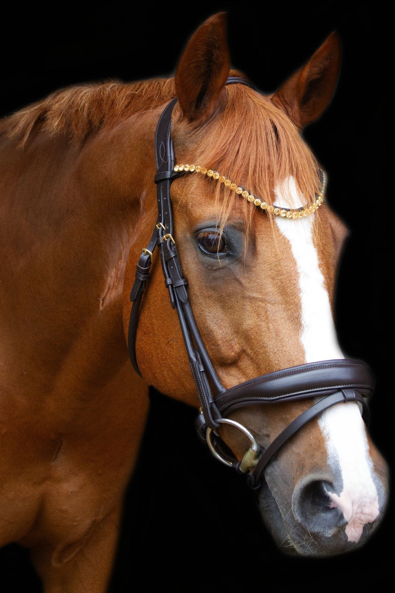 Trense Melbourne - Ascot Reitsportbraun matt mit Messingbeschlägen