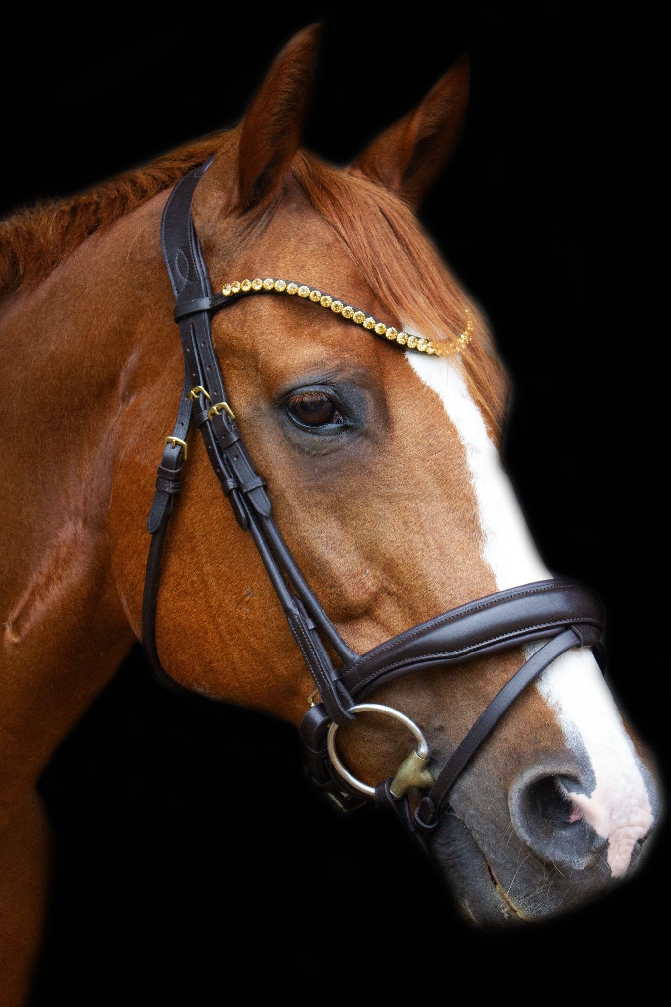 Trense Melbourne - Ascot Reitsportbraun matt mit Messingbeschlägen