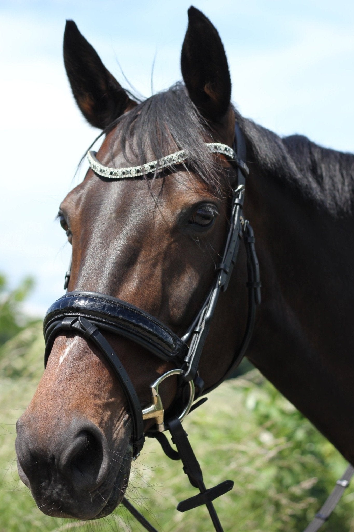 Anatomische halbrunde Trense Melbourne schwarz lack/ kroko mit silbernen Beschlägen von der Marke Ascot Reitsportartikel.