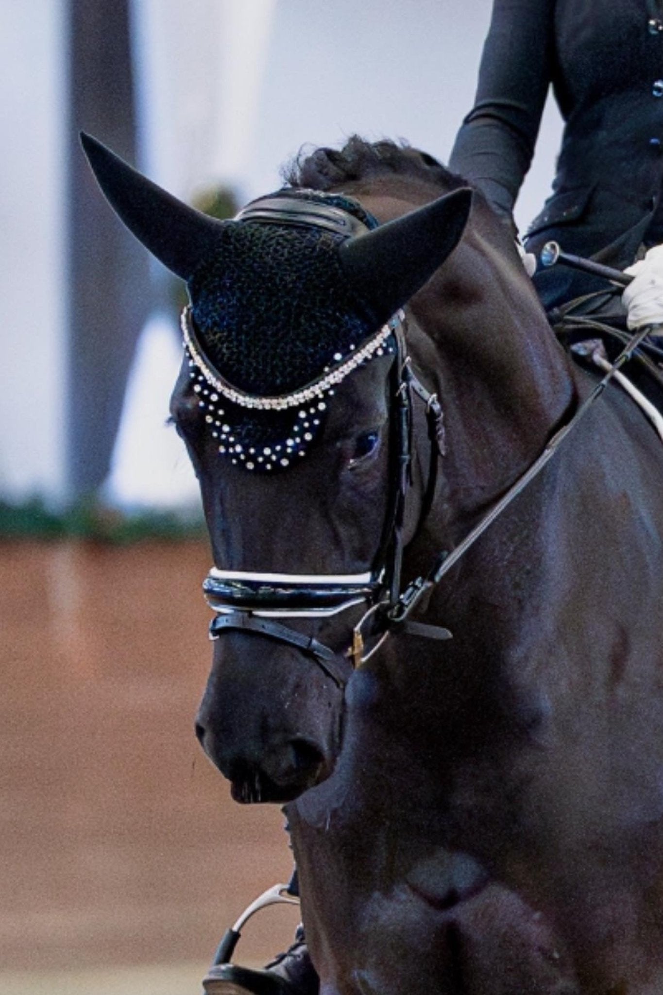 Anatomische halbrunde Trense Melbourne schwarz/weiß lack mit silbernen Beschlägen von der Marke Ascot Reitsportartikel.