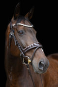 Load image into Gallery viewer, Trense Saint - Tropez - Ascot Reitsportbraun lack/ silberner Strass mit silbernen Beschlägen
