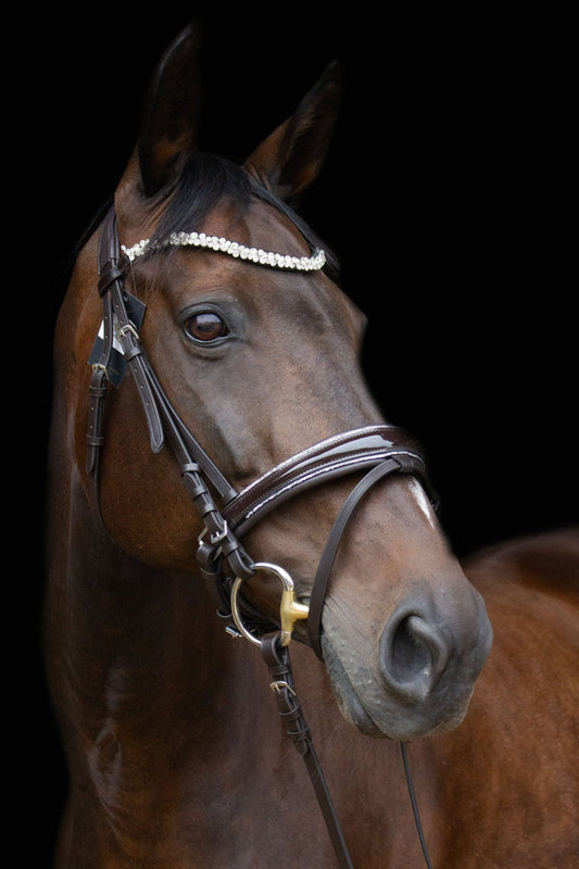 Trense Saint - Tropez - Ascot Reitsportbraun lack/ silberner Strass mit silbernen Beschlägen