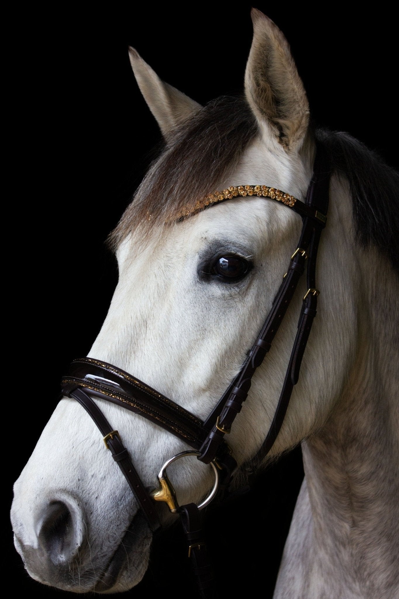 Anatomische Trense, Softneck Genickstück, zulaufender Nasenriemen braun lack/ goldener Strass -von Ascot Reitsportartikel