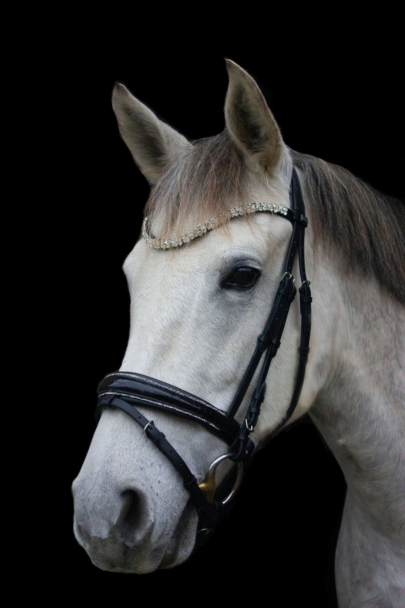 Trense Saint - Tropez - Ascot Reitsport schwarz lack/ silberner Strass mit kroko und silbernen Beschlägen.