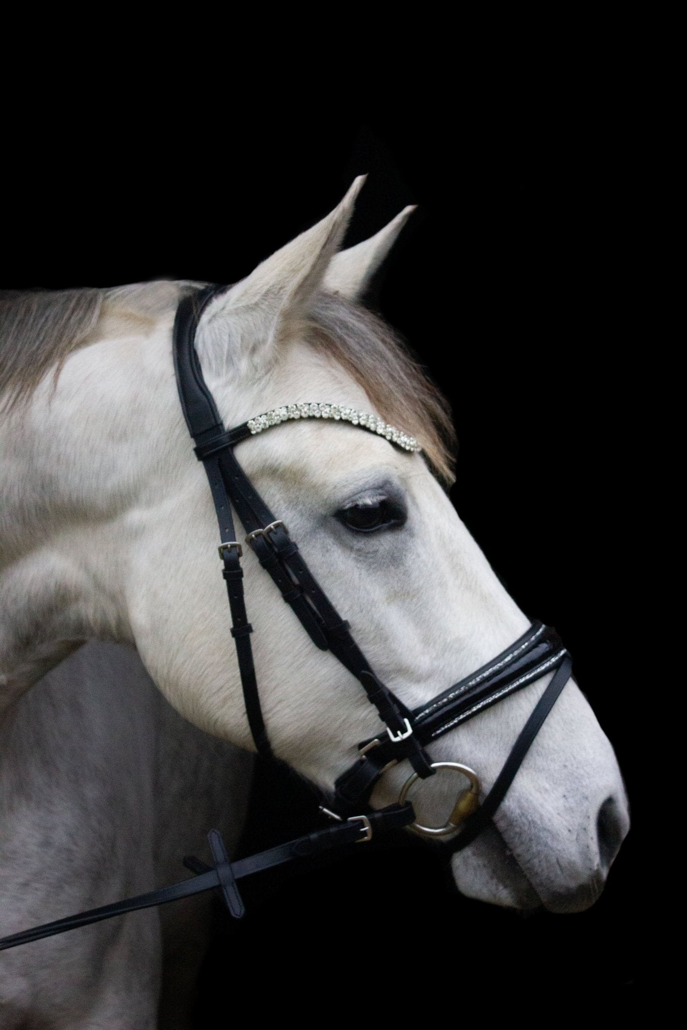 Trense Saint - Tropez - Ascot Reitsport schwarz lack/ silberner Strass mit kroko und silbernen Beschlägen