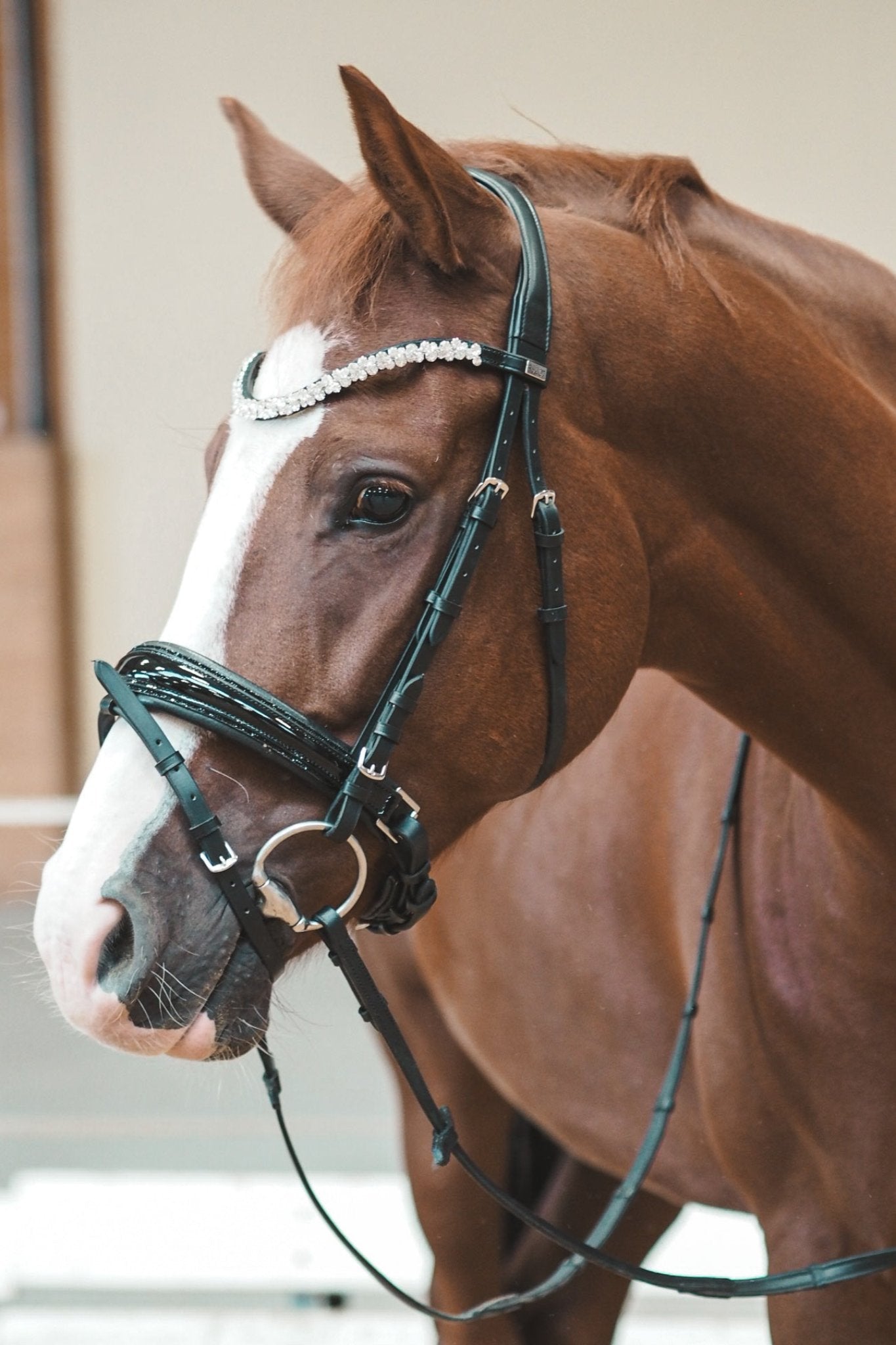 Trense Saint - Tropez - Ascot Reitsportschwarz lack/ schwarzer Strass mit silbernen Beschlägen