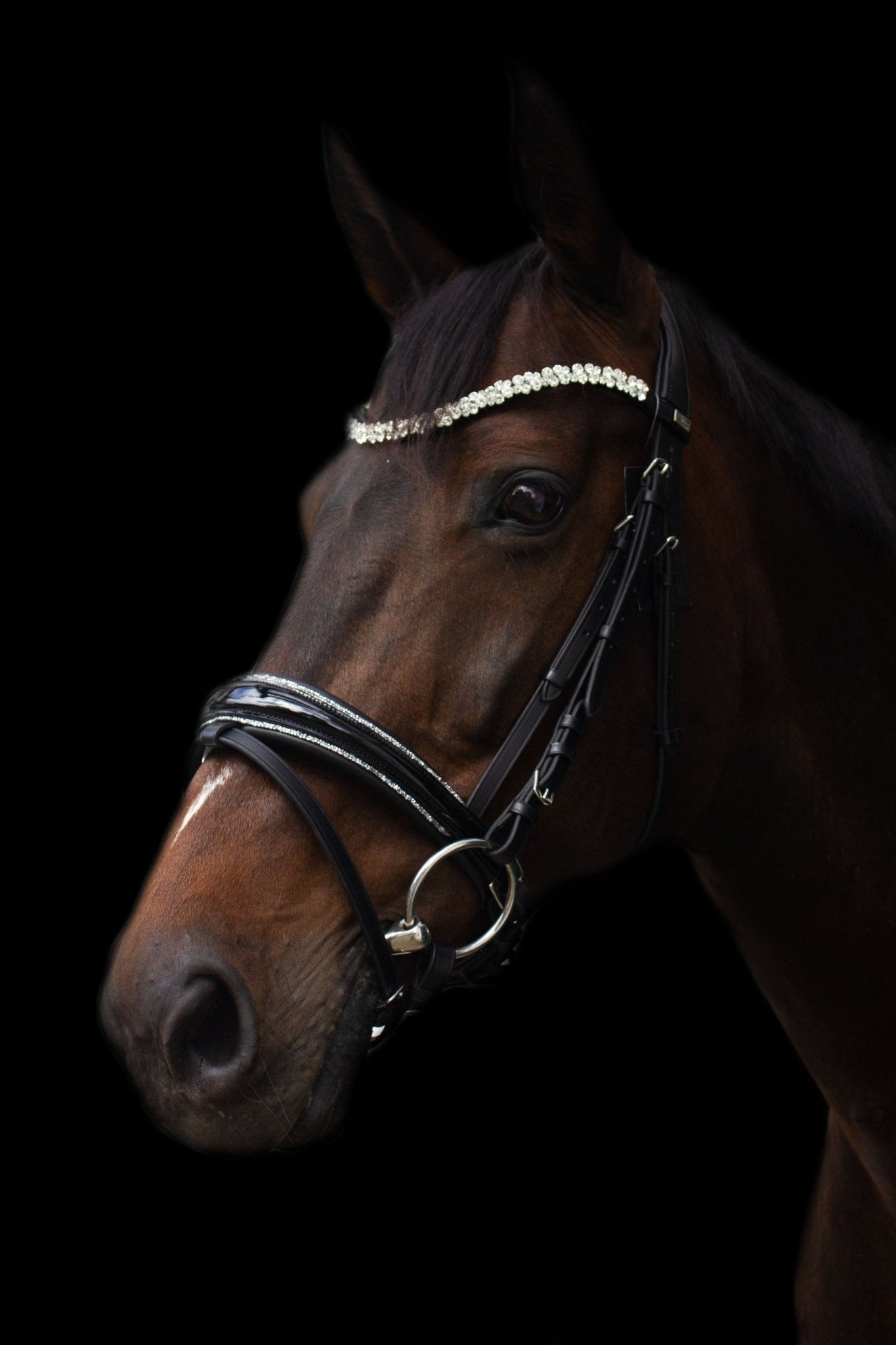 Trense Saint - Tropez - Ascot Reitsport schwarz lack/ silberner Strass mit silbernen Beschlägen