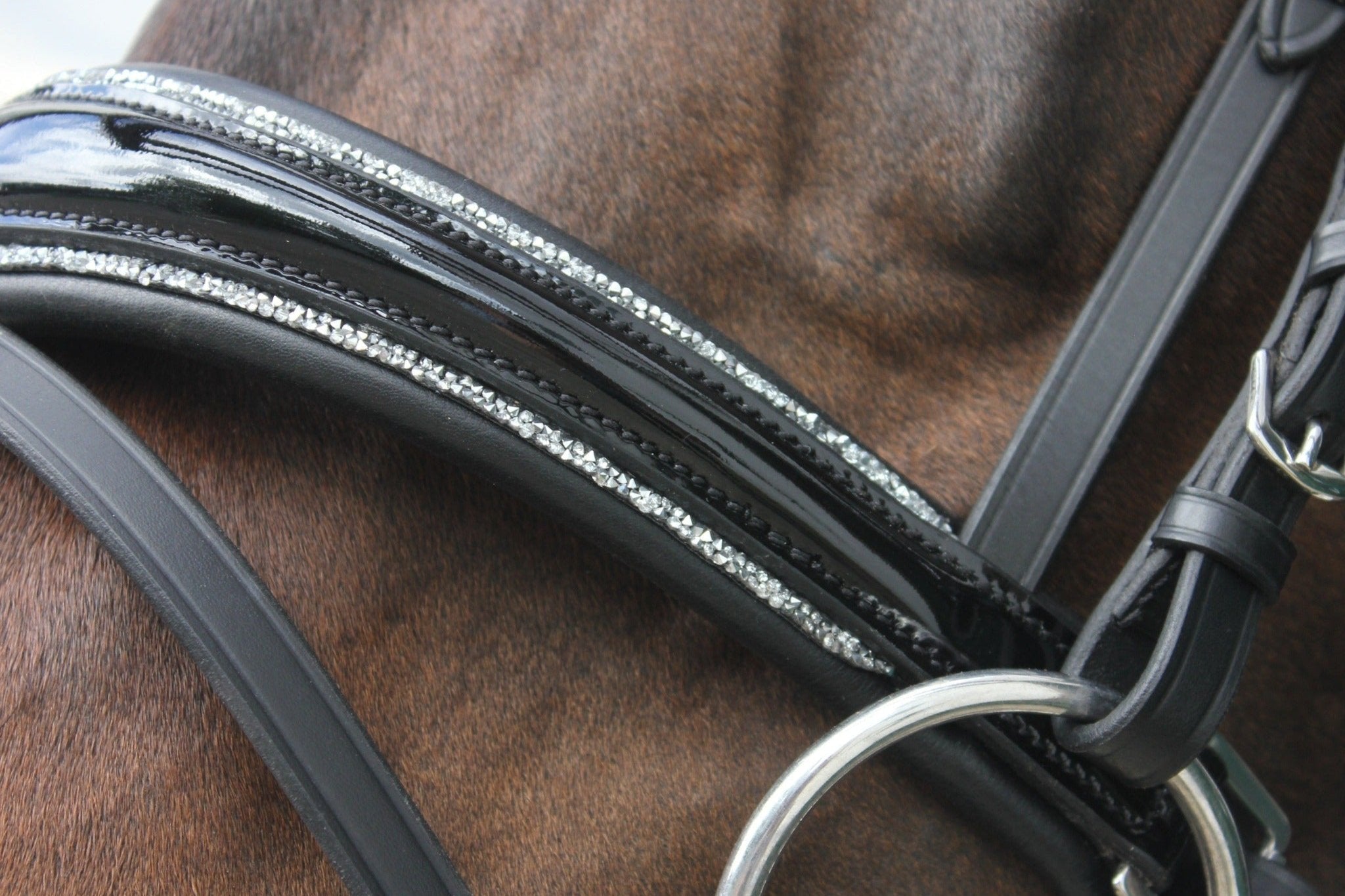 Trense Saint - Tropez - Ascot Reitsport schwarz lack/ silberner Strass mit silbernen Beschlägen