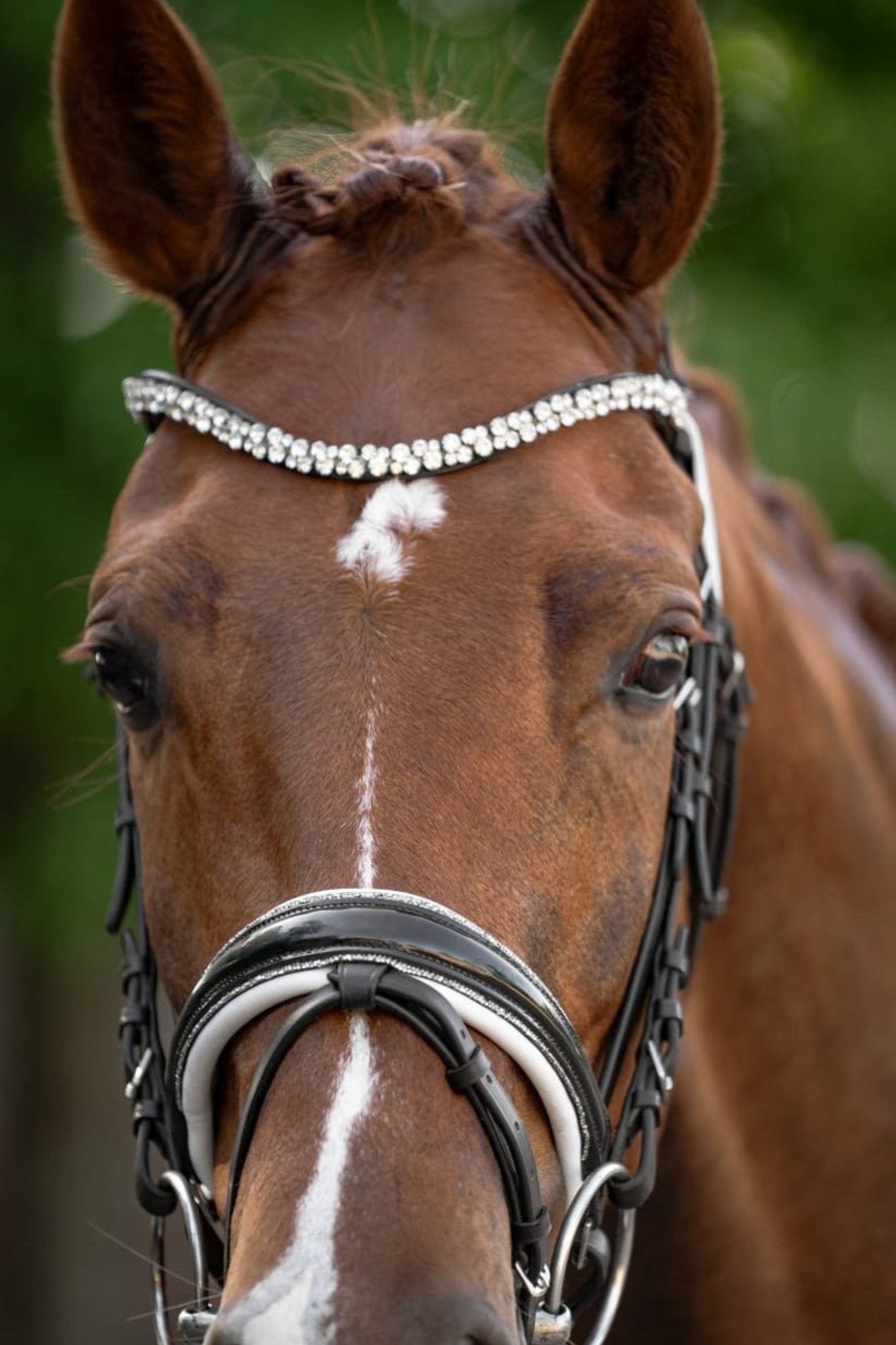 Trense Saint - Tropez - Ascot Reitsportschwarz lack/ weiß/ silberner Strass mit silbernen Beschlägen