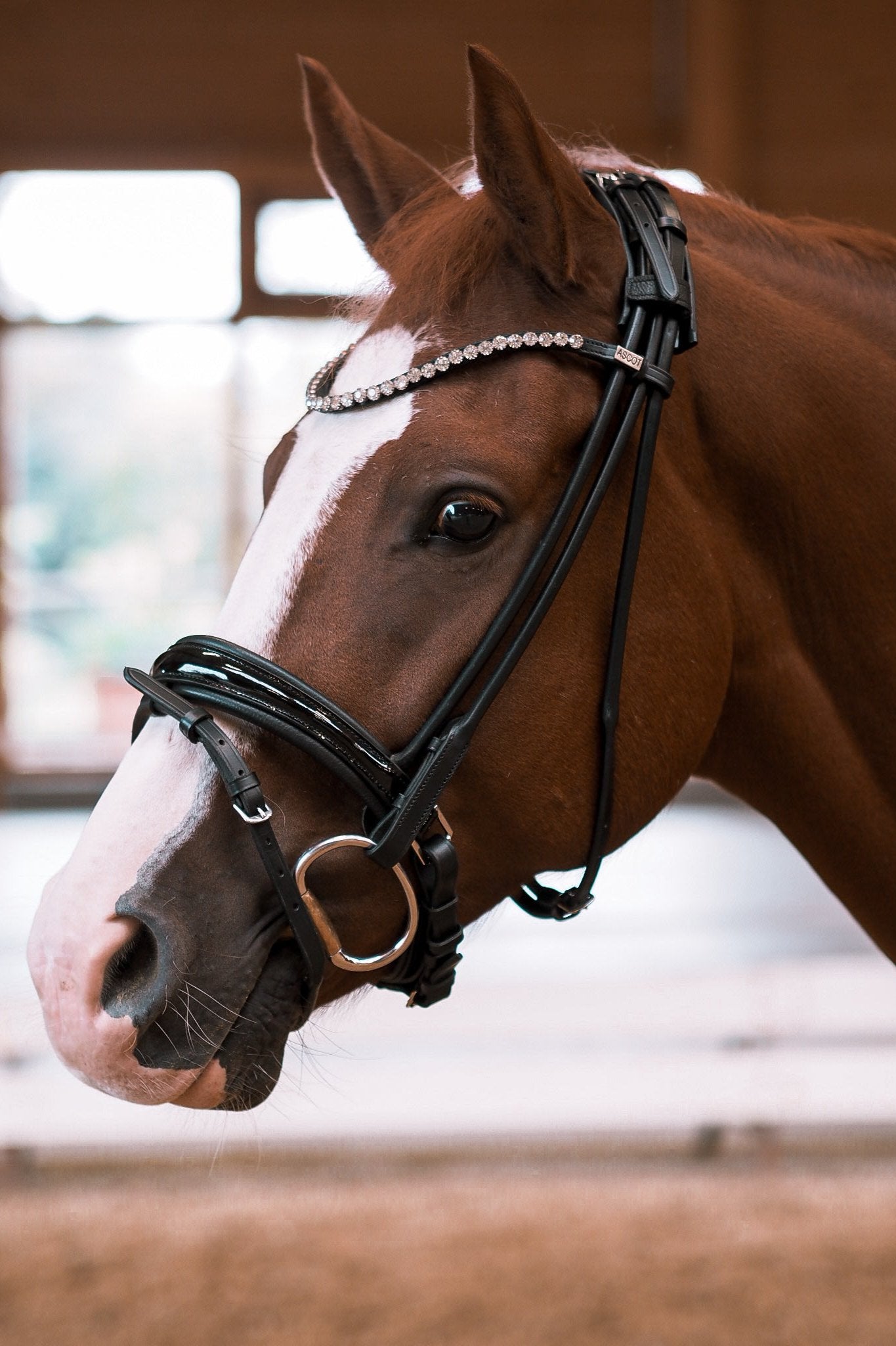 Trense Wellington - Ascot Reitsportschwarz lack mit silbernen Beschlägenschwedisch - kombiniert (Zulaufend)