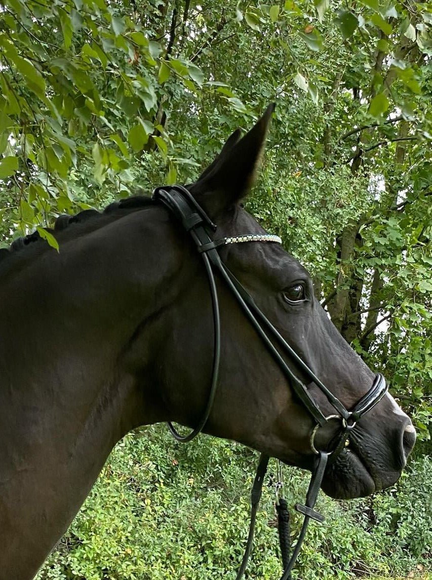 Rundgenähte Trense Wellington schwarz lack mit silbernen Beschlägen hannoveranisch - Ascot Reitsportartikel.