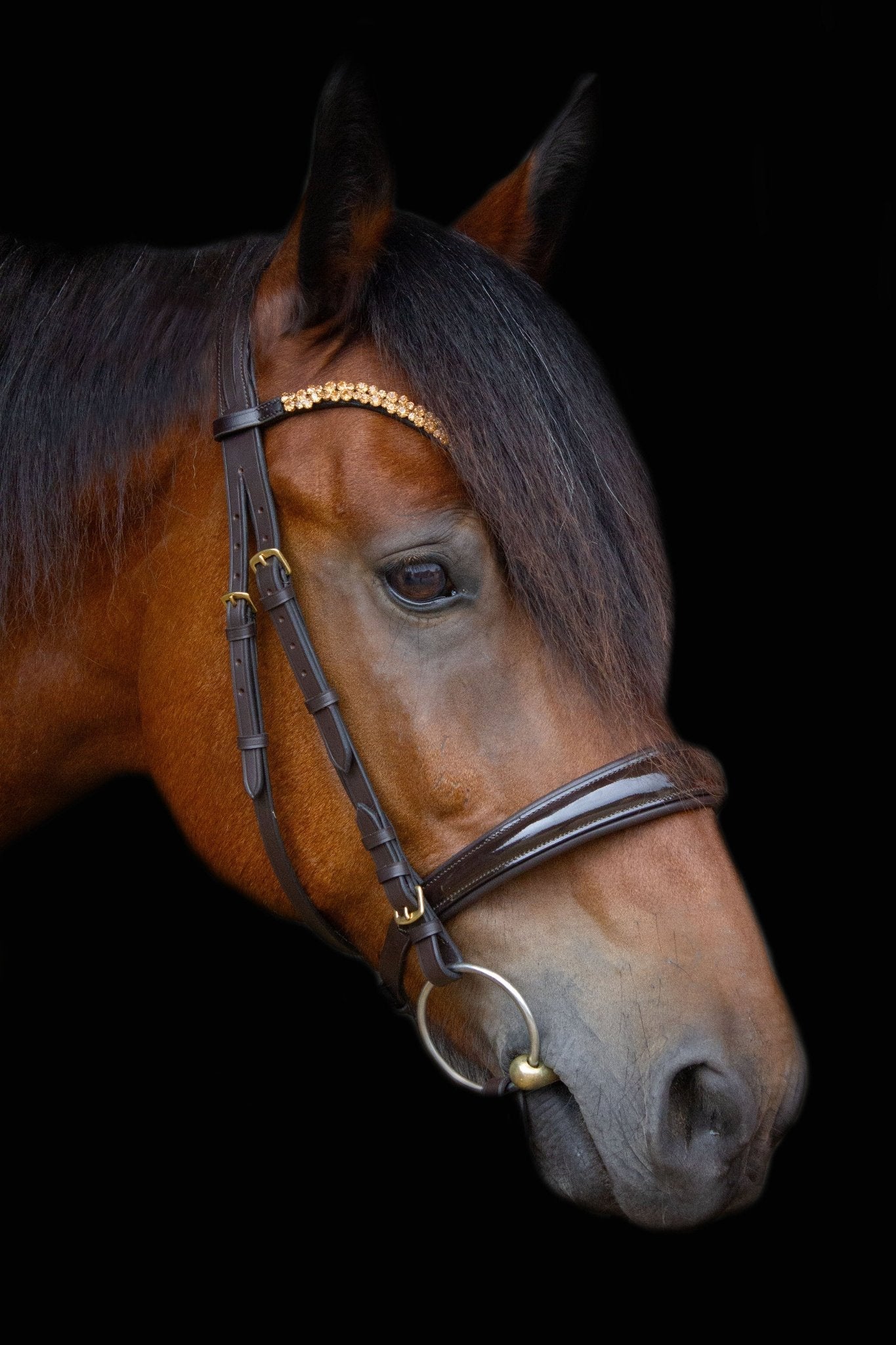 Trense York - Ascot Reitsportbraun lack mit Messingbeschlägen