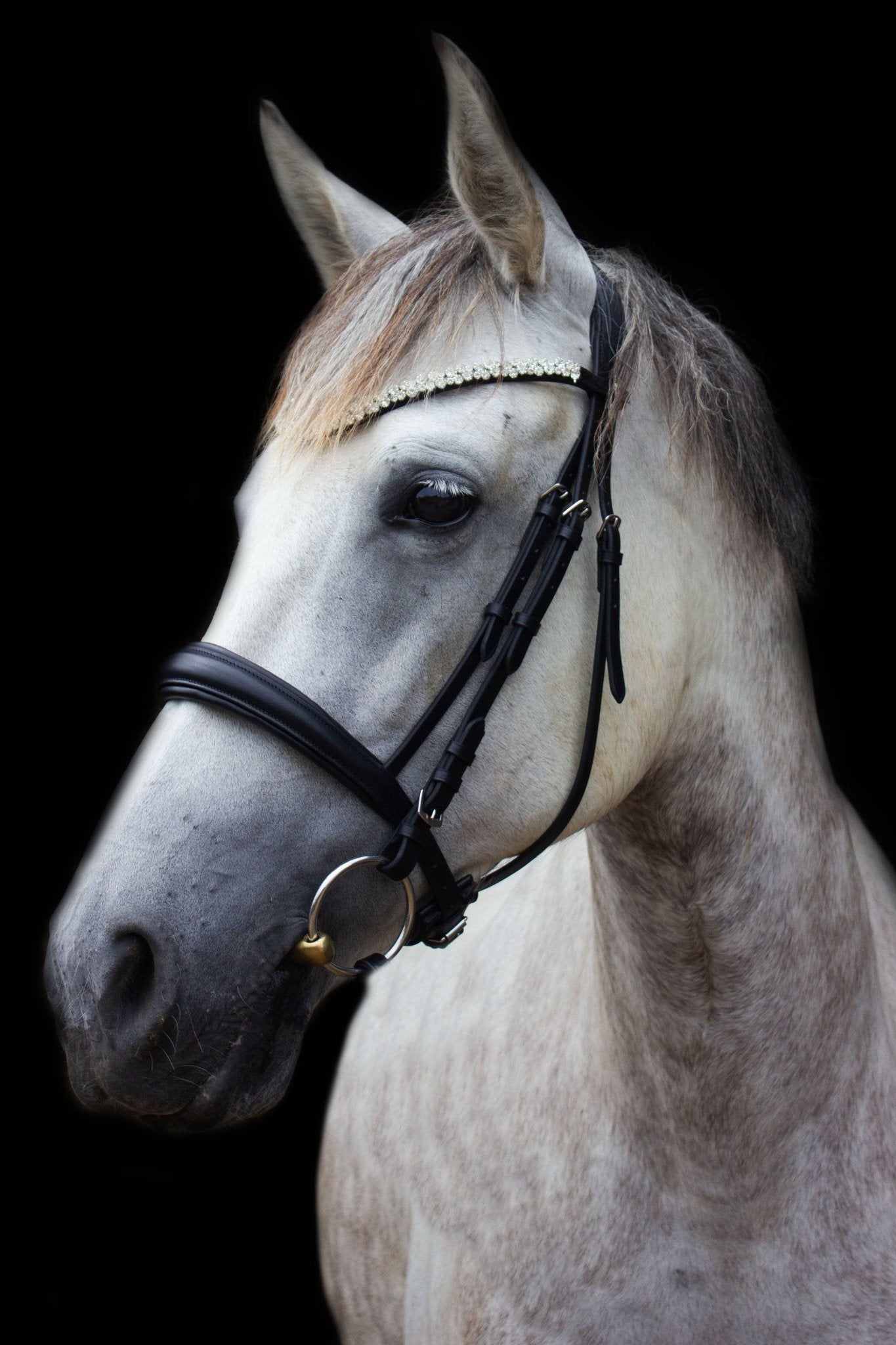 Trense York - Ascot Reitsportschwarz matt mit silbernen Beschlägen