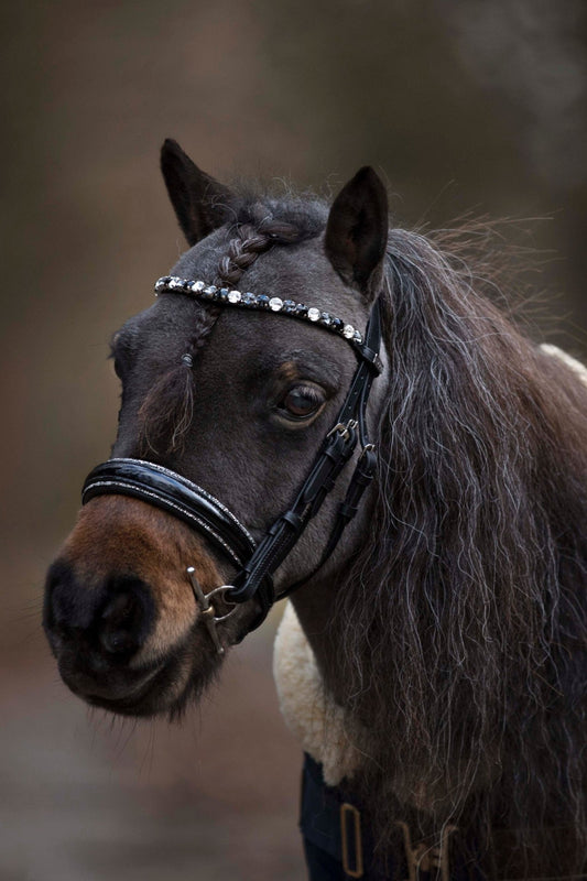 Trensen für die Kleinen ohne Sperrriemen englisch - Ascot Reitsportschwarz lack/ silberner Strass mit silbernen Beschlägen ohne Sperrriemen